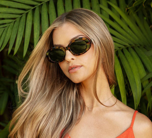 Howdy Polarized Sun -Tortoise