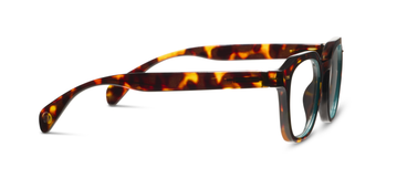 Neon - Tortoise