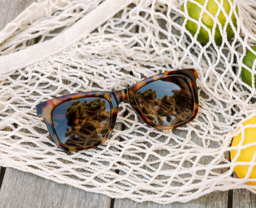 Harbor Polarized Sun - Tortoise