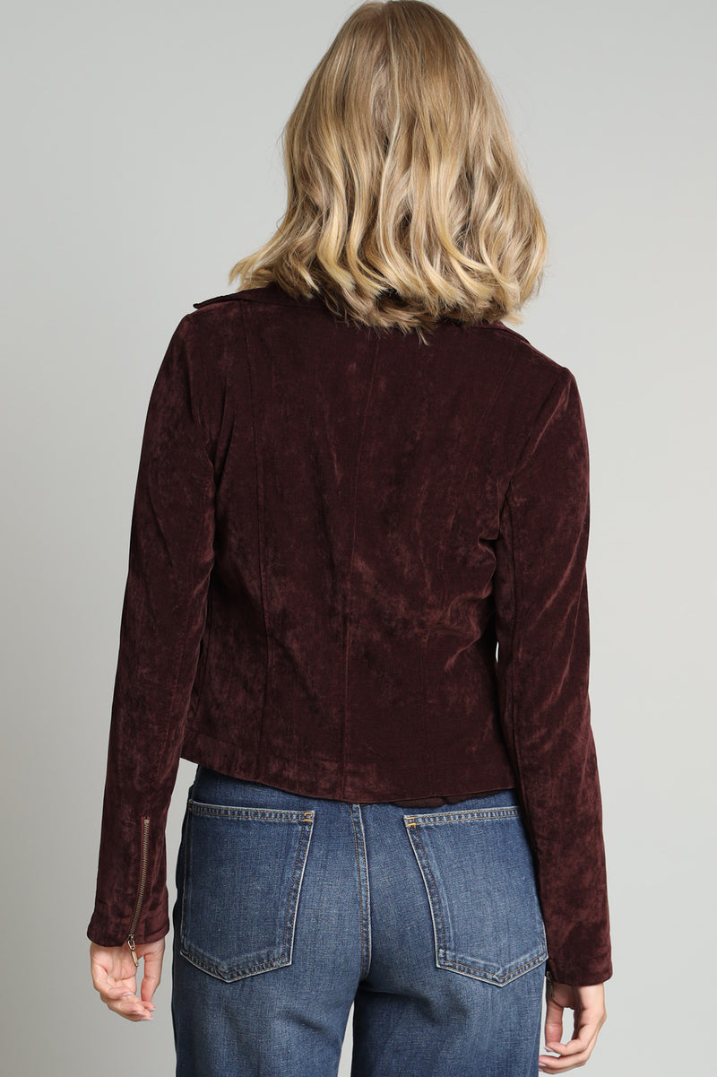 Velvet Moto Jacket