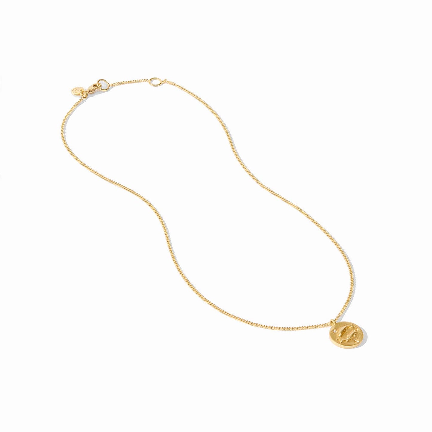 Zodiac Necklace-Picses