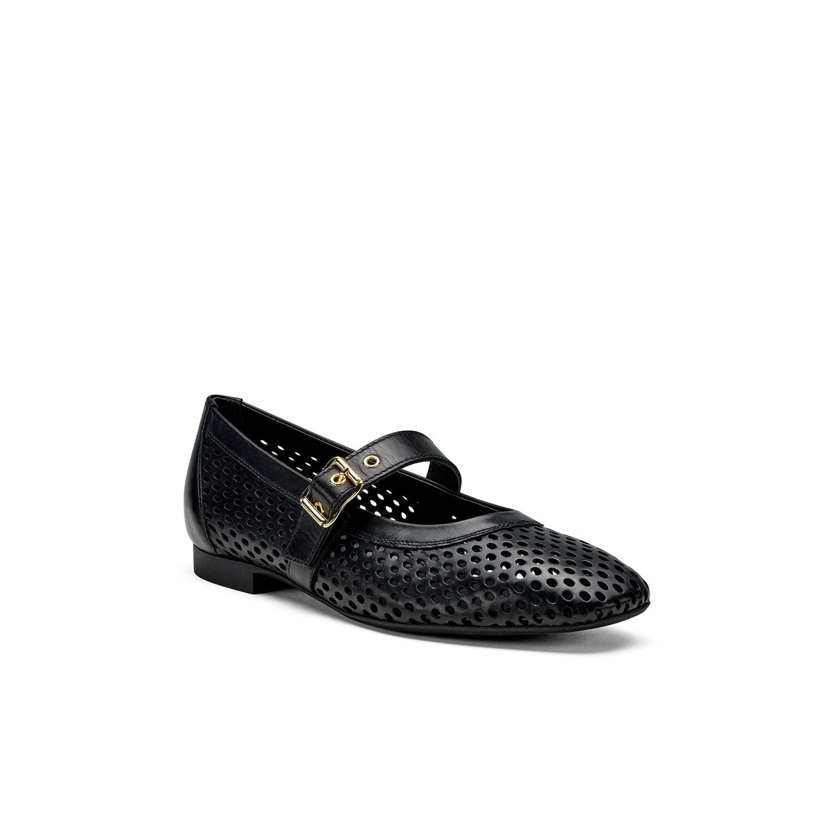 Dana Flat