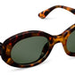 Howdy Polarized Sun -Tortoise