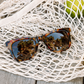 Harbor Polarized Sun - Tortoise