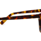 Harbor Polarized Sun - Tortoise