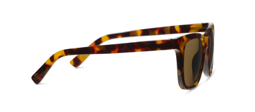 Harbor Polarized Sun - Tortoise