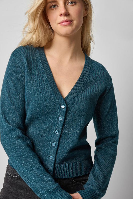 V-Neck Sparkle Cardigan