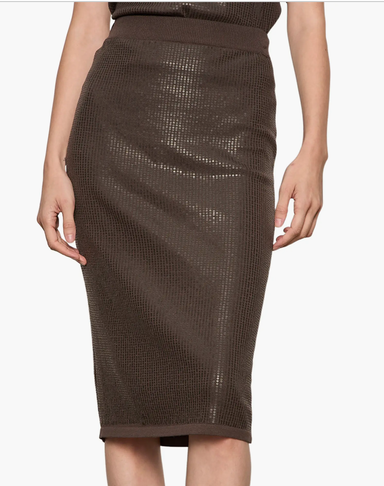 Sparkle Sequin Pencil Skirt