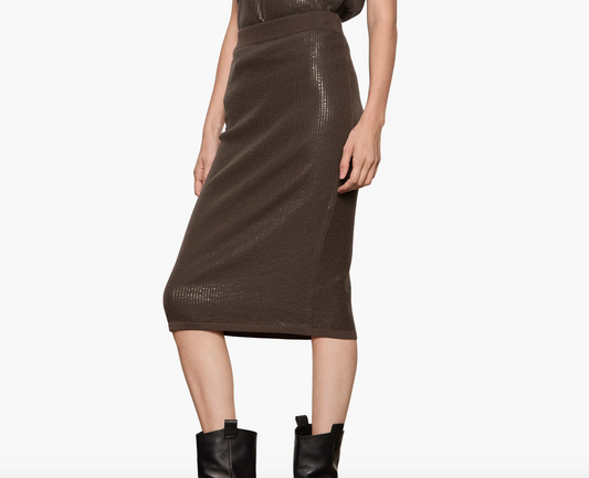 Sparkle Sequin Pencil Skirt